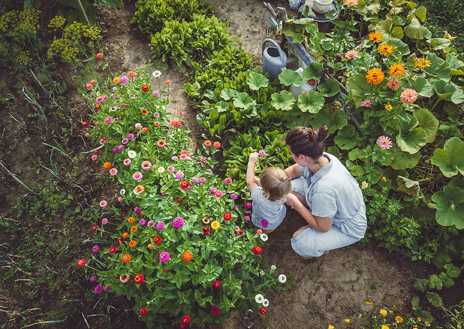 Rappresentazione visiva dell'articolo: ESG (Enviromental, Social and Governance)