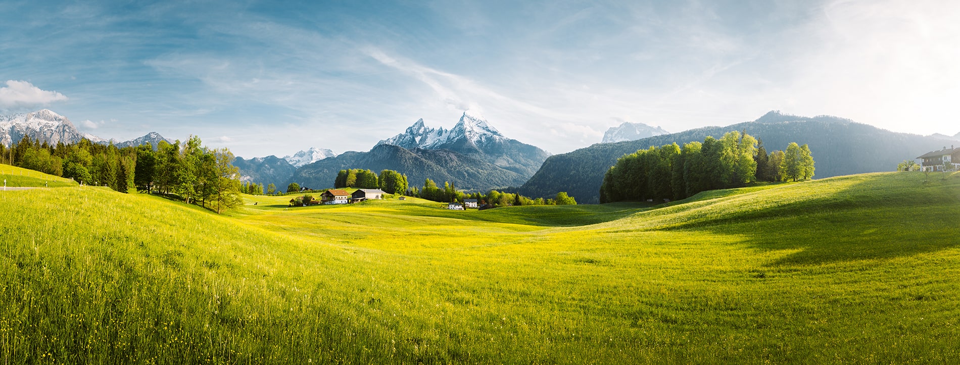 Rappresentazione visiva dell'articolo: 22 maggio - Giornata Internazionale della Biodiversità